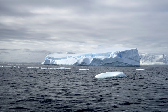Venus - Gerlache - Iceberg - Antarctique